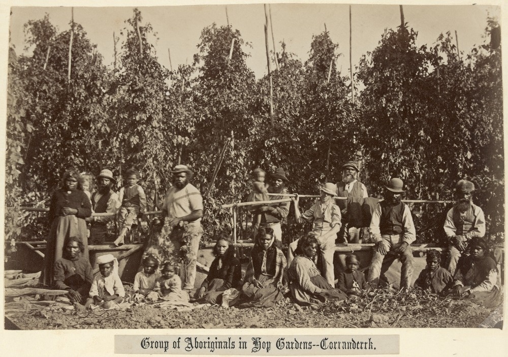 Group of Aboriginals in hop gardens - Corranderrk. Source: http://www.minutesofevidence.com.au/the-coranderrk-story/