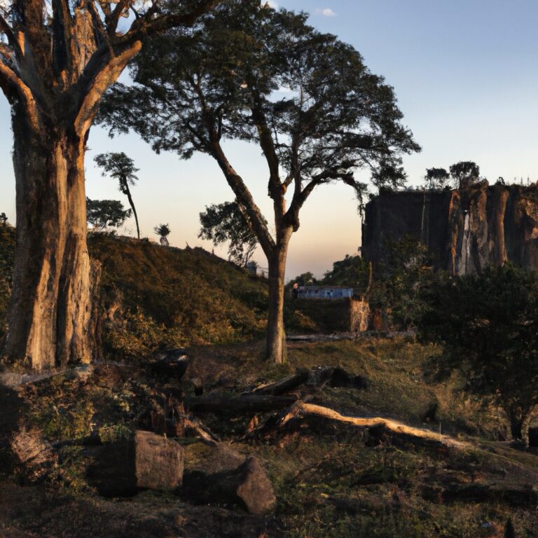 A rural scene, trees in the foreground, fibro shack in the distance below a sheer cliff face. The image evokes a haunting sense.