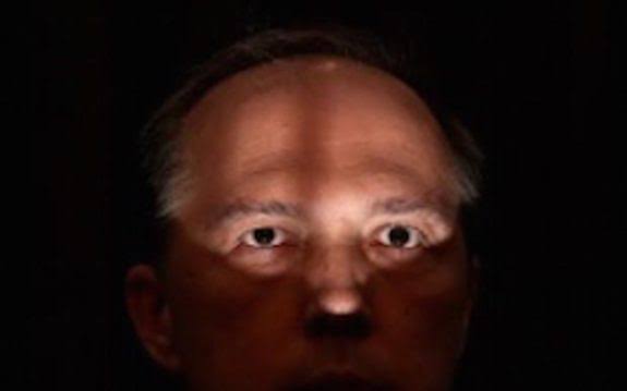 Peter Dutton in shadow