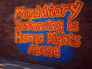 The Effects of Mandatory Sentencing: An In-Depth Examination