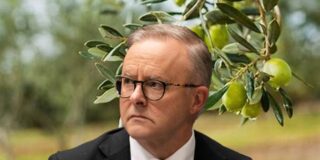 The Moral Imperative of Leadership: Anthony Albanese and the Crisis in Gaza Amid Media and Lobbying Pressures