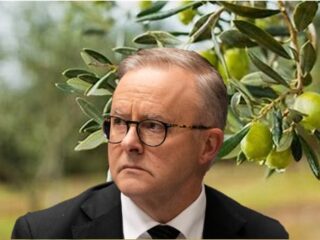 The Moral Imperative of Leadership: Anthony Albanese and the Crisis in Gaza Amid Media and Lobbying Pressures