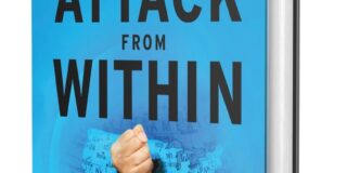 Disinformation, Democratic Vulnerabilities, and the Path to Violence