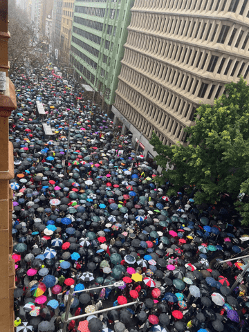 Sydney's March for humanity, 3 August, 2025.
