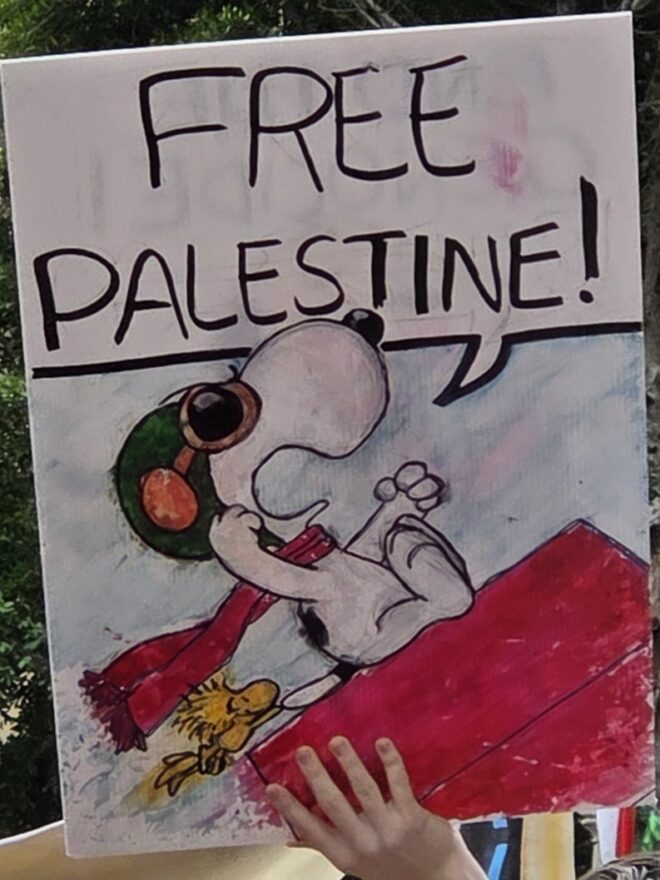 Snoopy the pilot and Woodstock riding his kennel crying "Free Palestine".