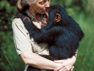 Ruminations on the Passing of a Giant: Jane Goodall