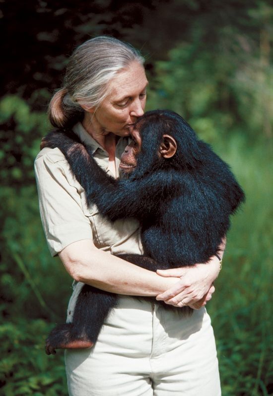Jane Goodall and chimp.