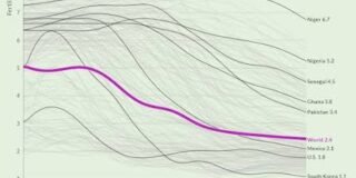 The Hidden Link: How Job Security Shapes Fertility Rates in a Changing World