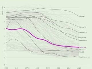 The Hidden Link: How Job Security Shapes Fertility Rates in a Changing World