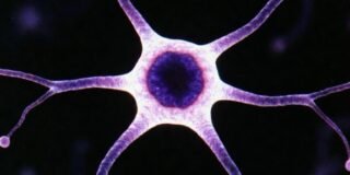 Tertiary Education versus Social Media Superficiality and Cognitive Biases