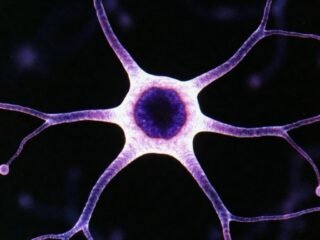 Tertiary Education versus Social Media Superficiality and Cognitive Biases