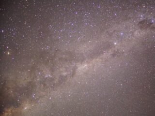 Emu Rising – Happy New Year