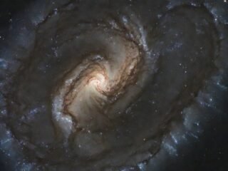 My Pipe Dream for Humanity