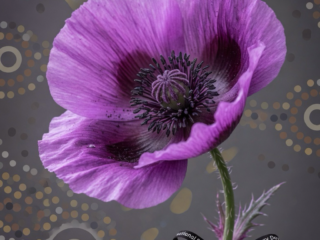 The Country Remembers