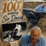 Sir David Attenborough: A Century of Wonder