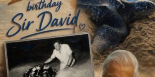 Sir David Attenborough: A Century of Wonder