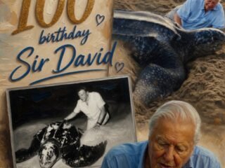 Sir David Attenborough: A Century of Wonder