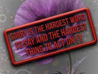 Sorry Means Accountability: A Sorry Day Essay