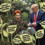 The Politics of Division: Hanson, Australia and Its Thirty-Year Unresolved Argument
