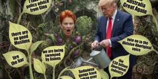 The Politics of Division: Hanson, Australia and Its Thirty-Year Unresolved Argument