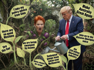 The Politics of Division: Hanson, Australia and Its Thirty-Year Unresolved Argument