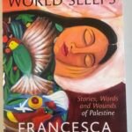 The Sanctioning of a Lawyer: Francesca Albanese and the Hierarchy of Human Rights