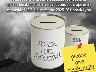 The Unspoken Ledger: Fossil Fuel Subsidies and Manufactured Scarcity