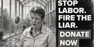 Fire the Liar, Mind the Glass House