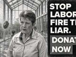 Fire the Liar, Mind the Glass House