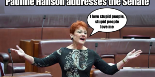 The Hanson Paradox: Popularity Despite the Racism