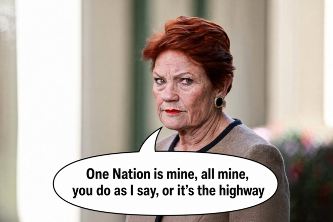 Pauline Hanson setting down the law on One Nation